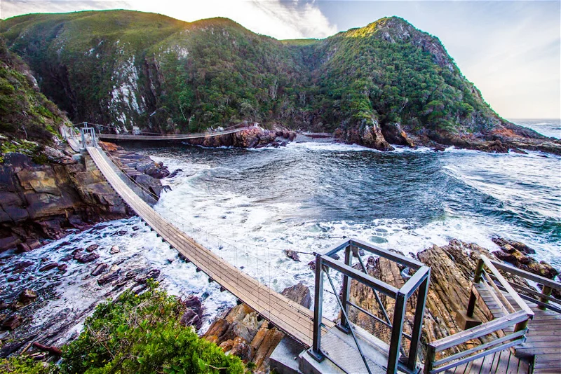 Tsitsikamma National Park - Afroventures