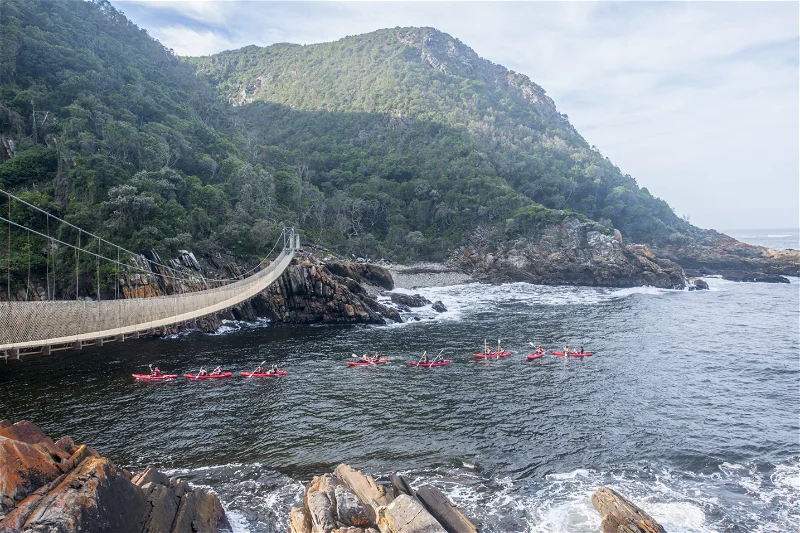Tsitsikamma National Park - Afroventures