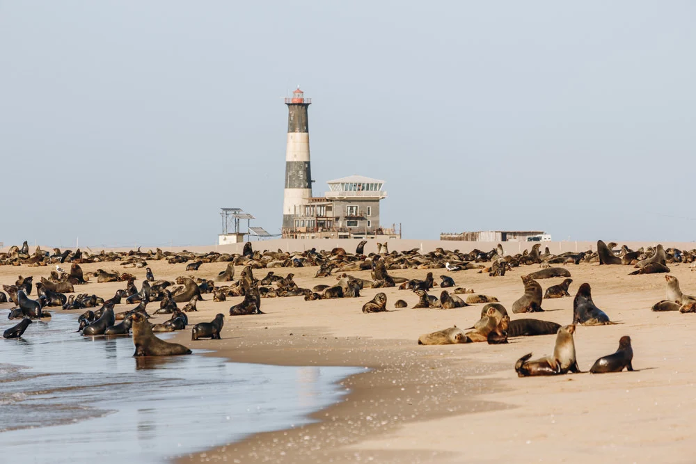 Sandwich Harbour - Safari World tours