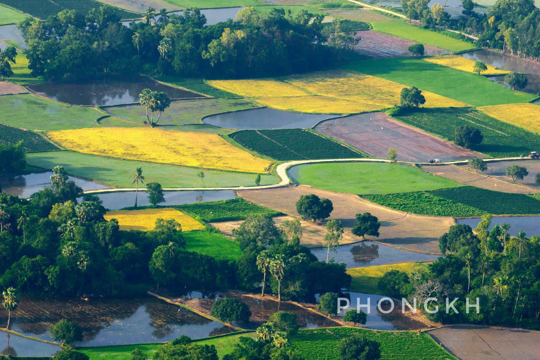 Ta Pa Rice Fields - Vemekong
