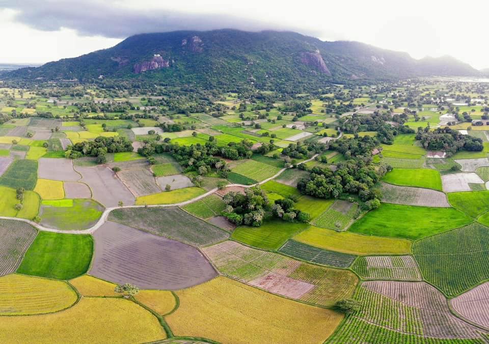 Ta Pa Rice Fields - Vemekong