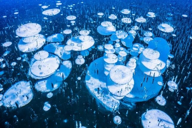 Ice Bubbles of Lago Bianco - Lucie Debelkova/Huber/eStock Photo