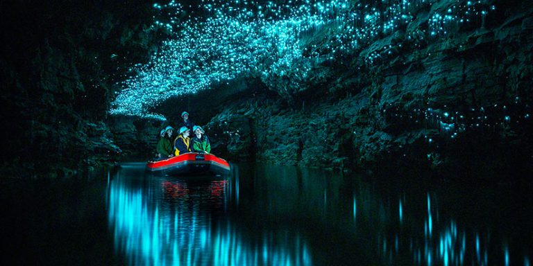 Waitomo Glowworm Caves - Relaxing Journeys