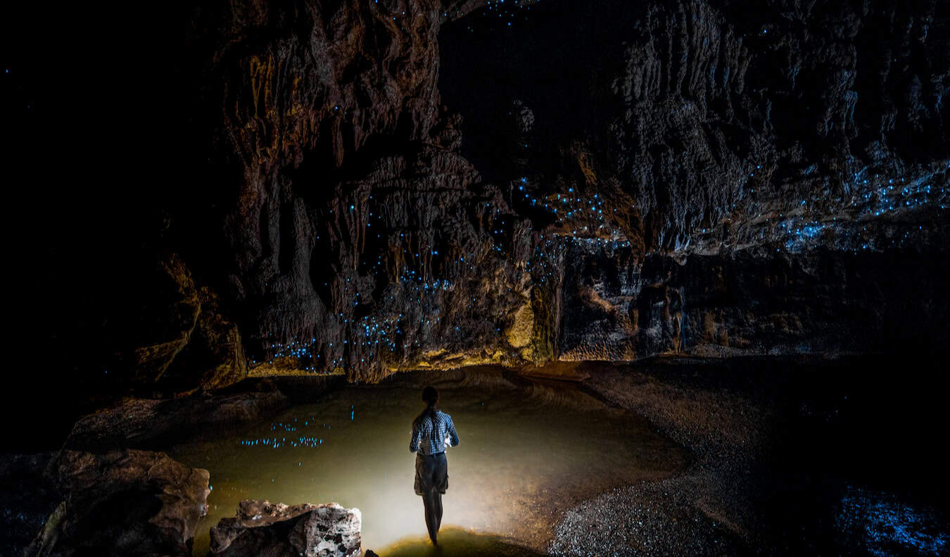 Waitomo Glowworm Caves - Nomadic Matt