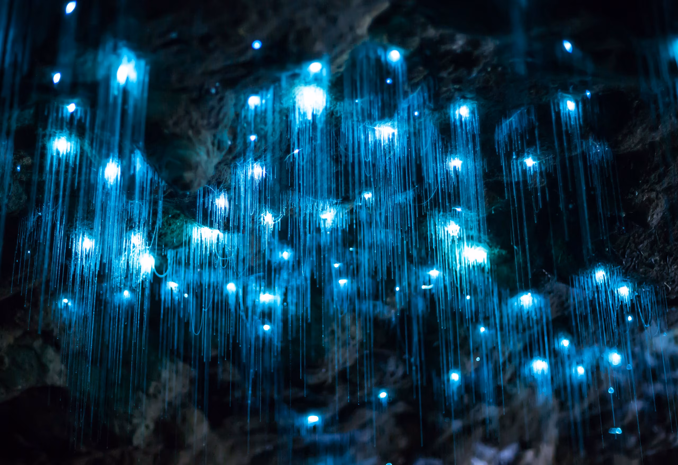 Waitomo Glowworm Caves - Stoked For Saturday