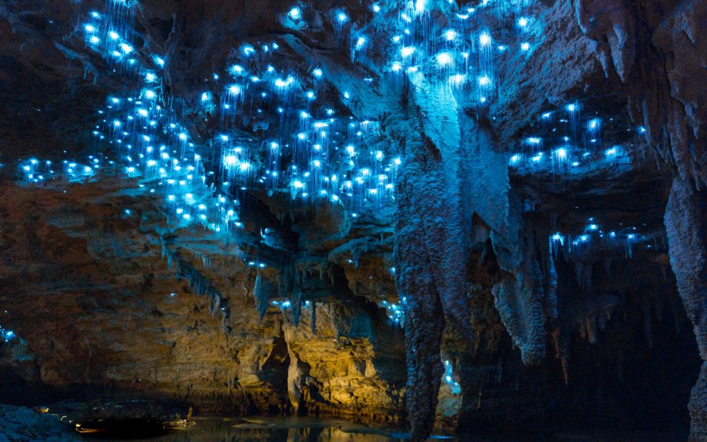 Waitomo Glowworm Caves - CaveWorld