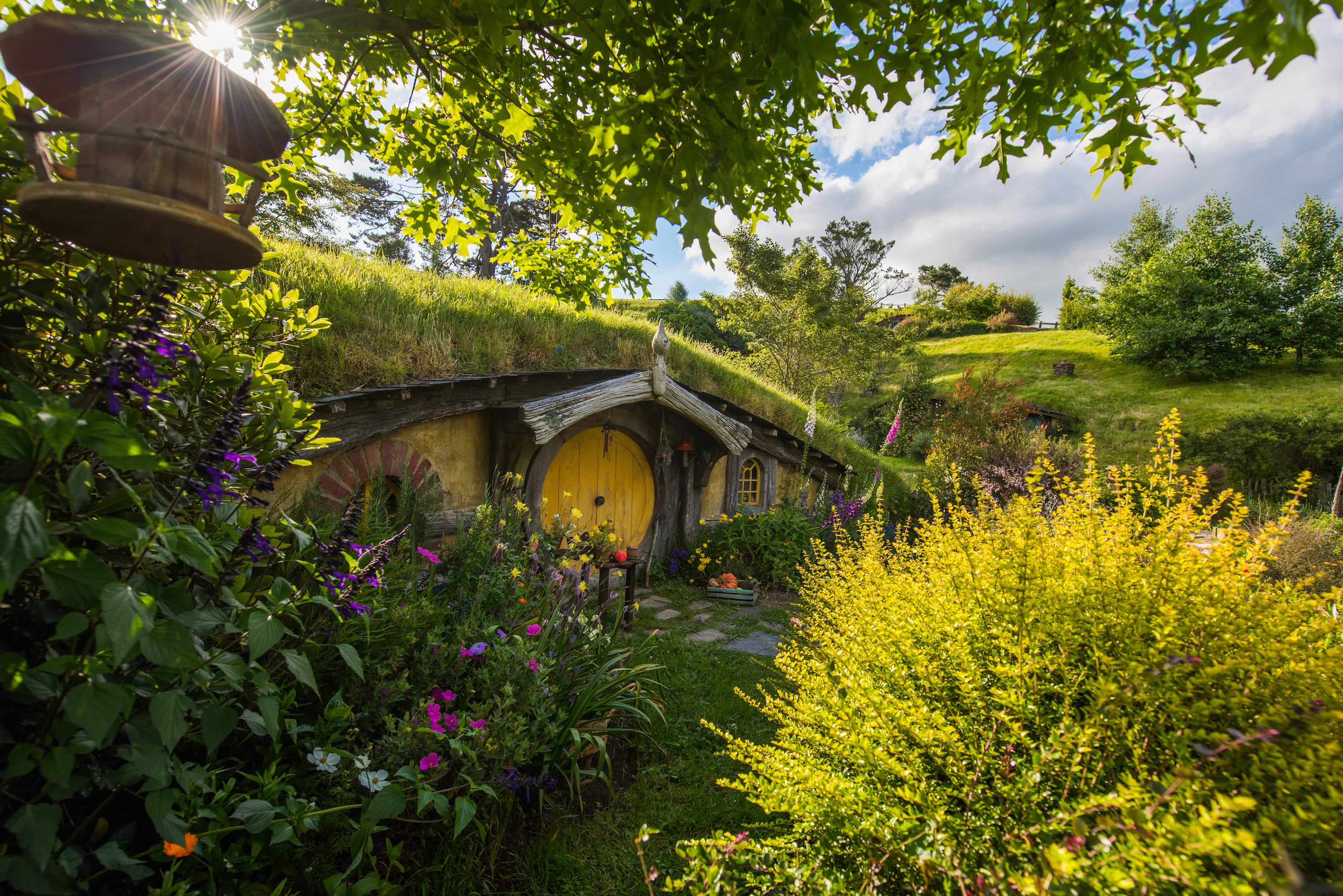 The Hobbiton - Hobbiton Tours