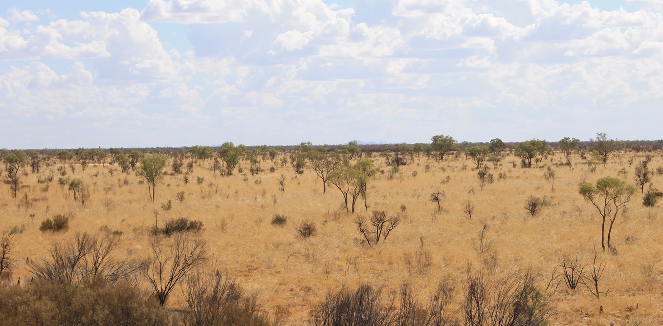 Savannahs and Grasslands - James Cleverly